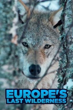 Europe's Last Wilderness