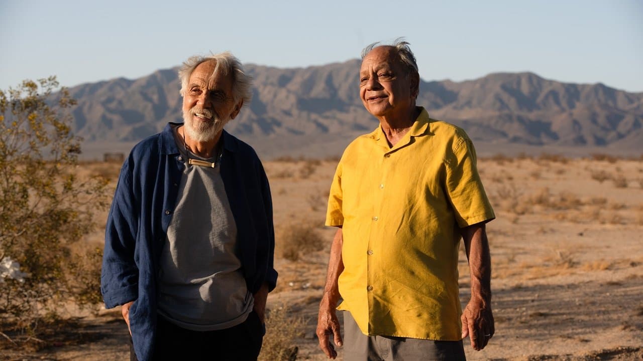 Cheech & Chong's Last Movie