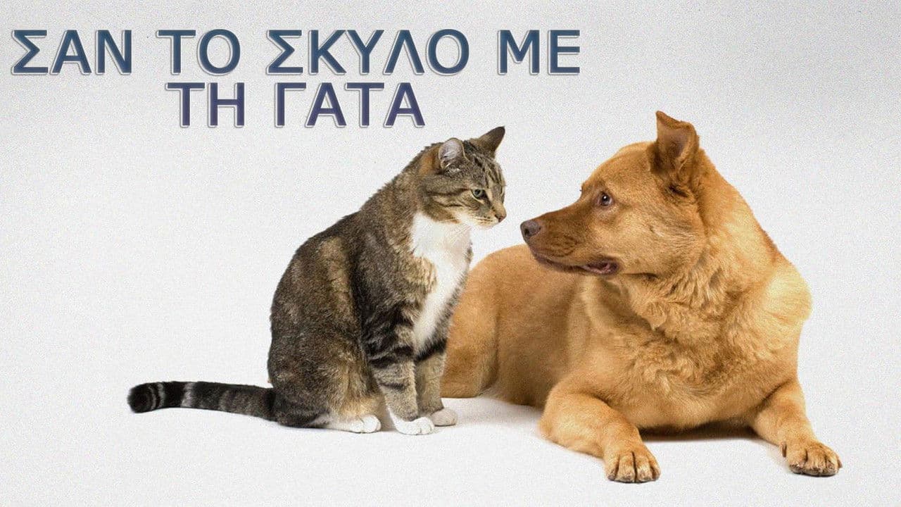 Σαν τον σκύλο με τη γάτα