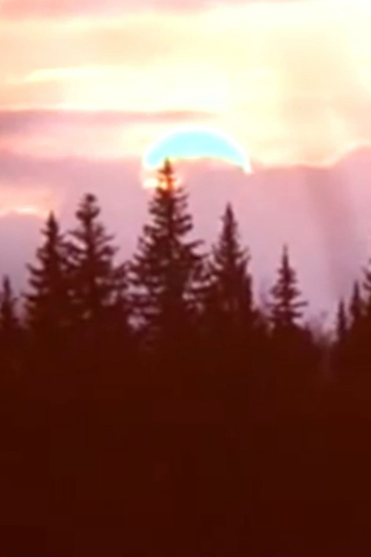 Spring film observations