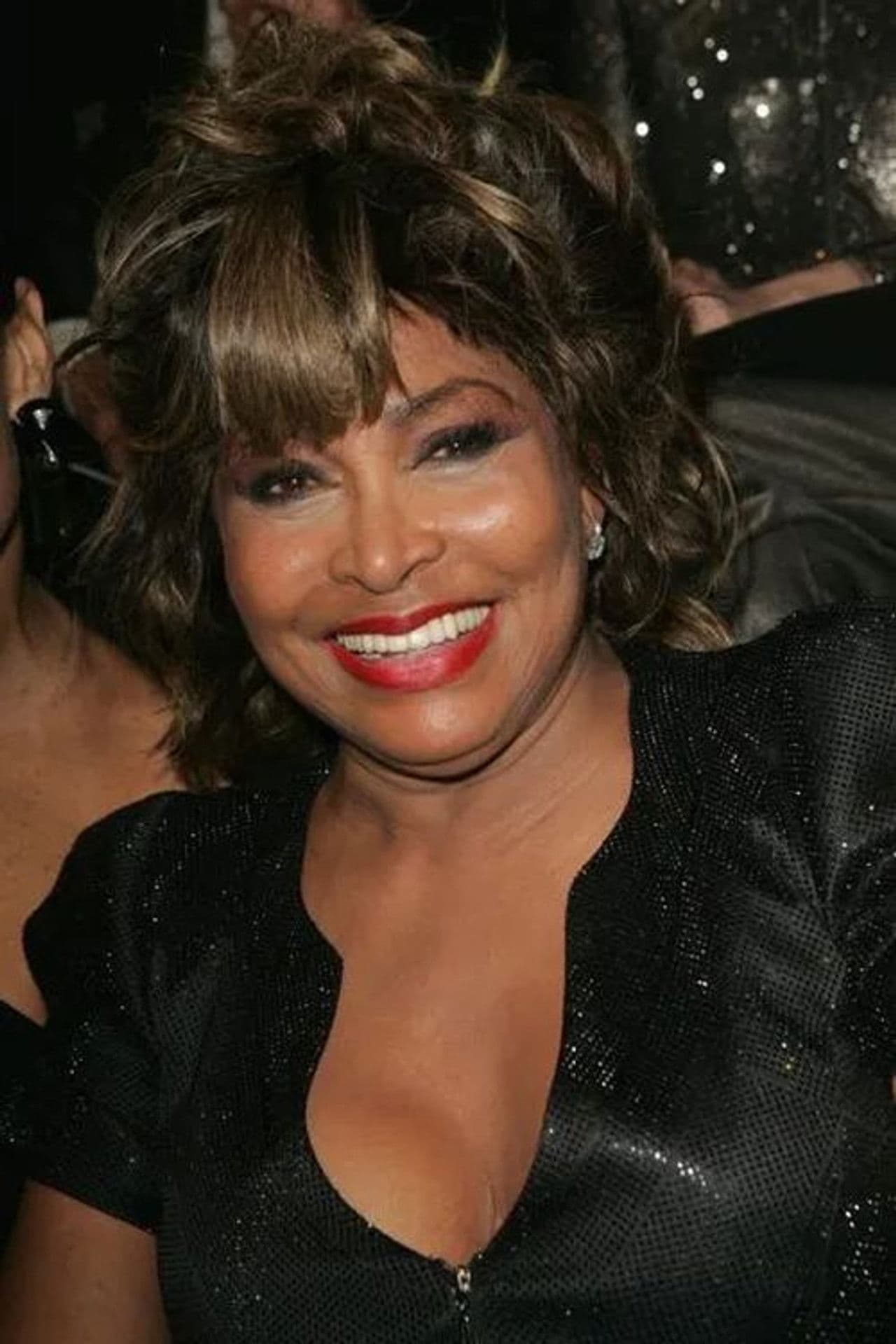 Tina Turner - Simply the Best