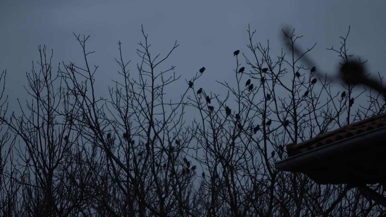 De lo urbano y lo rural