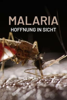 Malaria, Hoffnung in Sicht