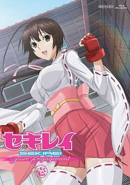 Sekirei Pure Engagement Special