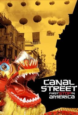Canal Street: First Stop in America