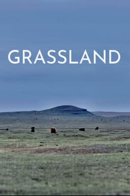 Grassland