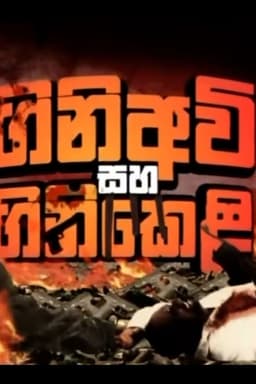 Firearms and Fireworks