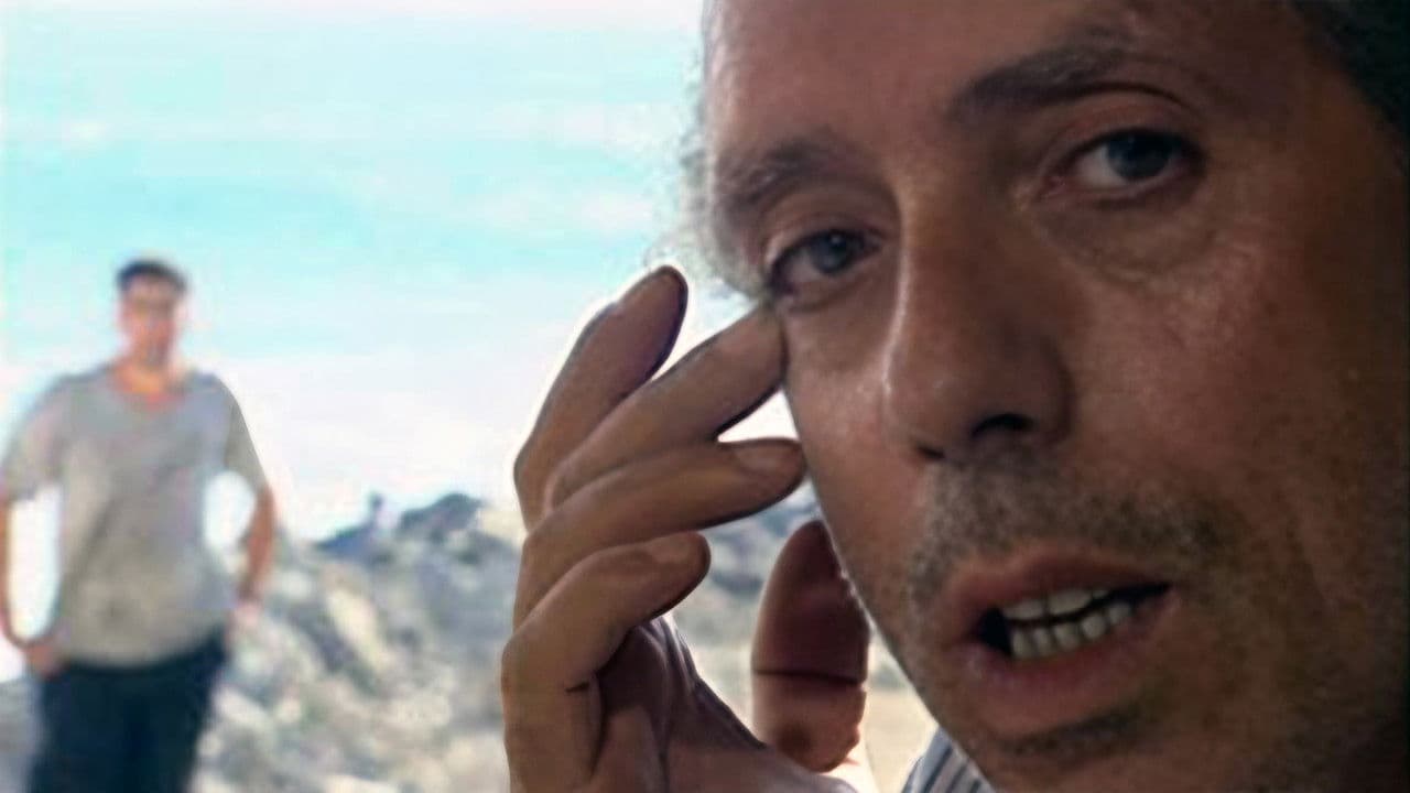 Regards D'en Face - Alger