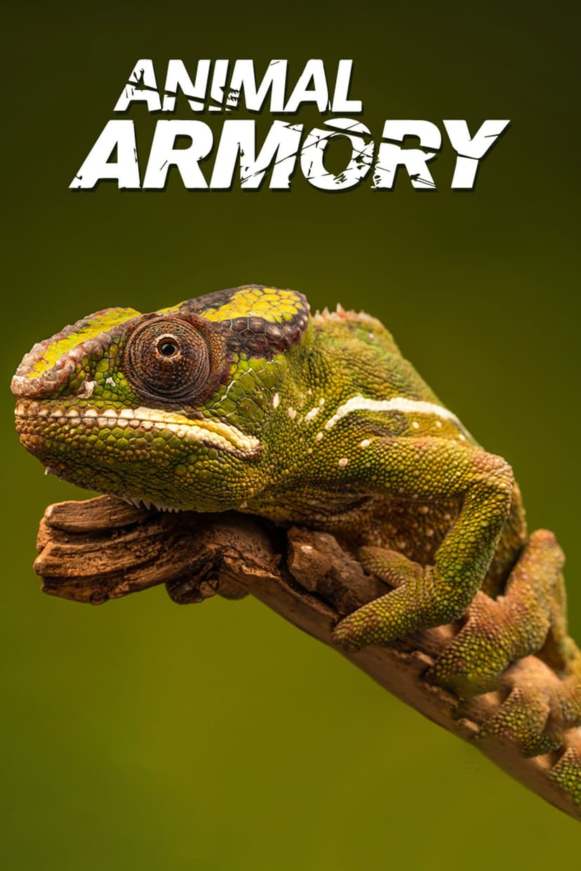 Animal's Armory
