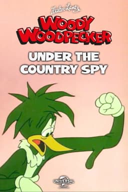 Under the Counter Spy