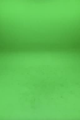 The house that shadows built