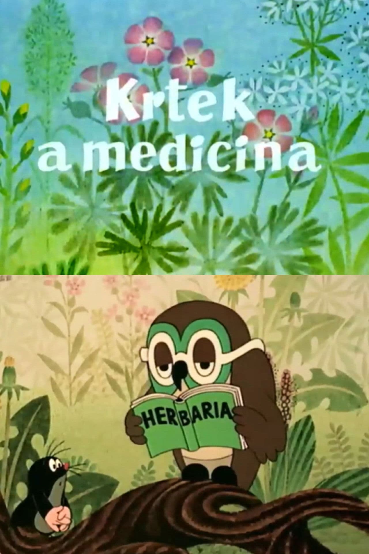 Mole and the Medicine