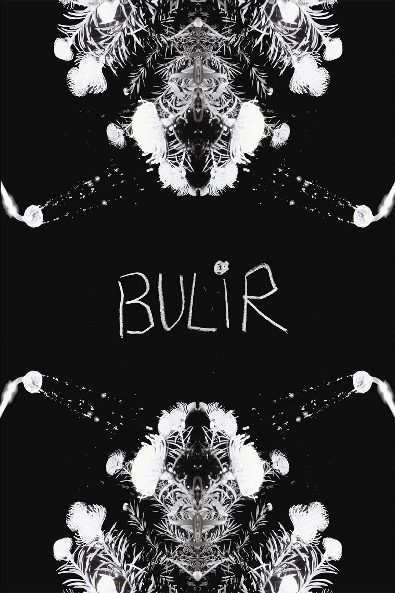 BULIR