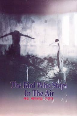 The Bird Who Stops in the Air