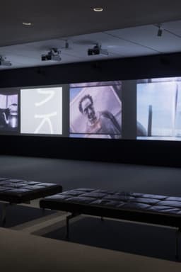 Robert Frank's Scrapbook Footage, 1970–2006