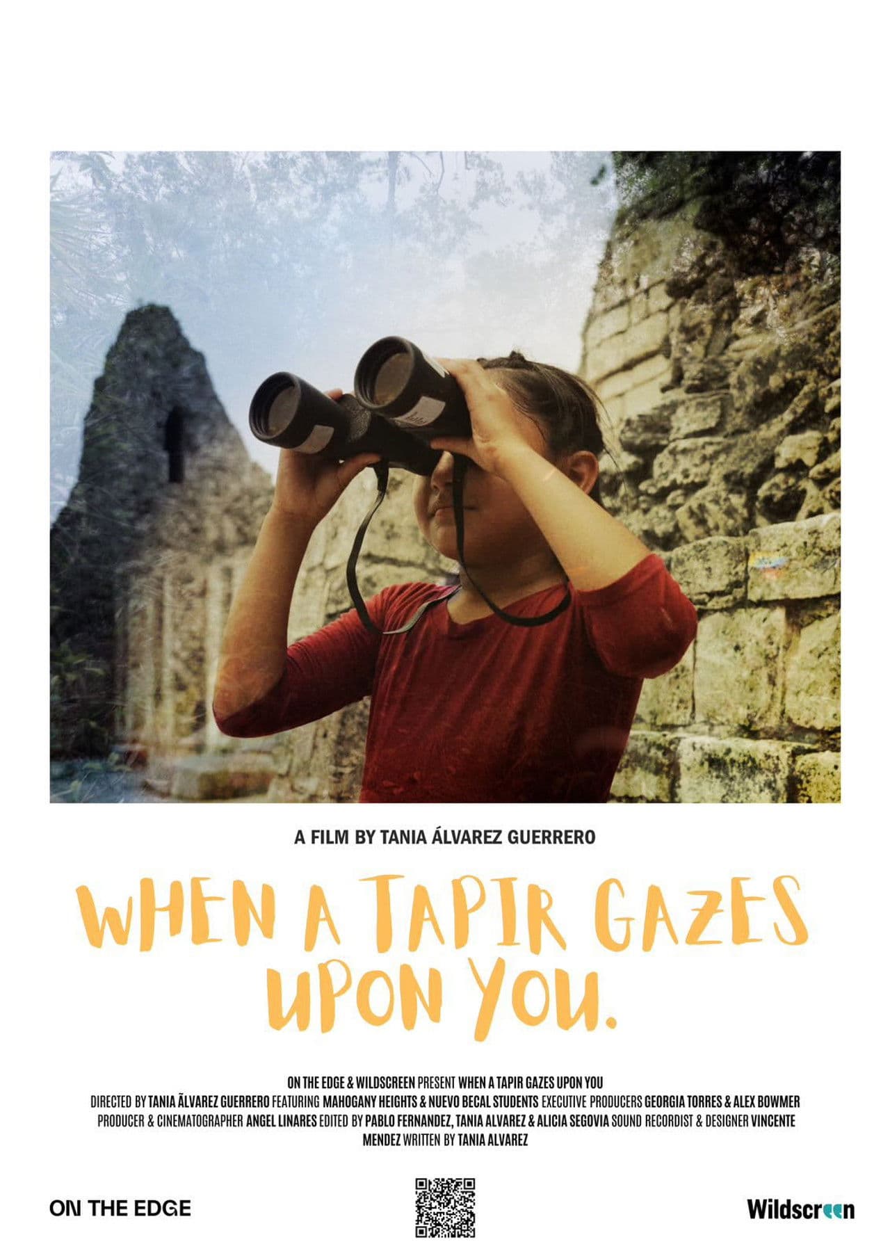 The Mayan Forest: When a Tapir Gazes Upon You