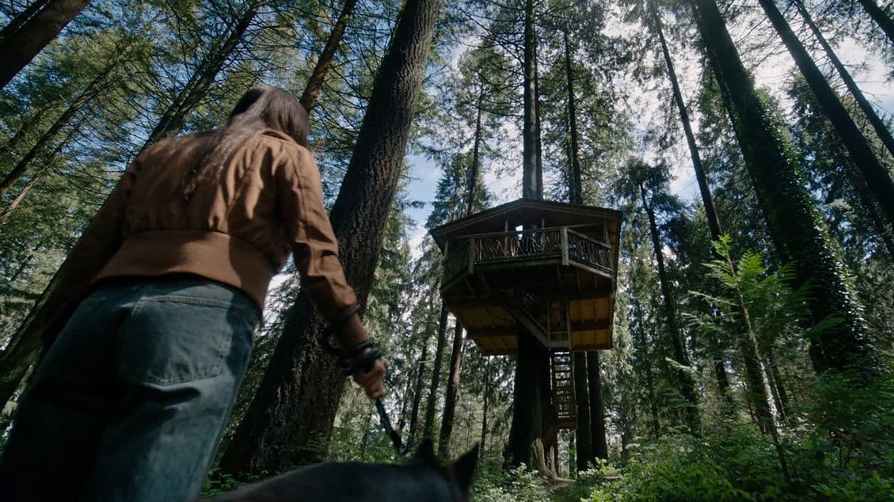 La casa en el árbol