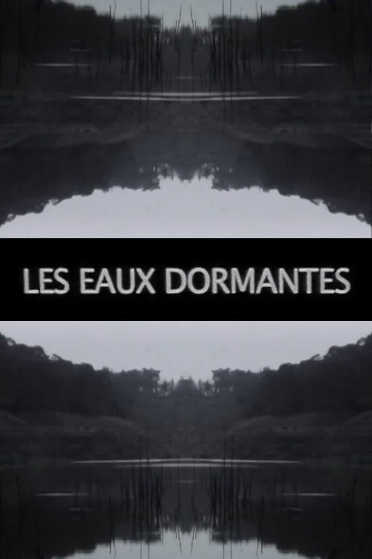 Les Eaux dormantes