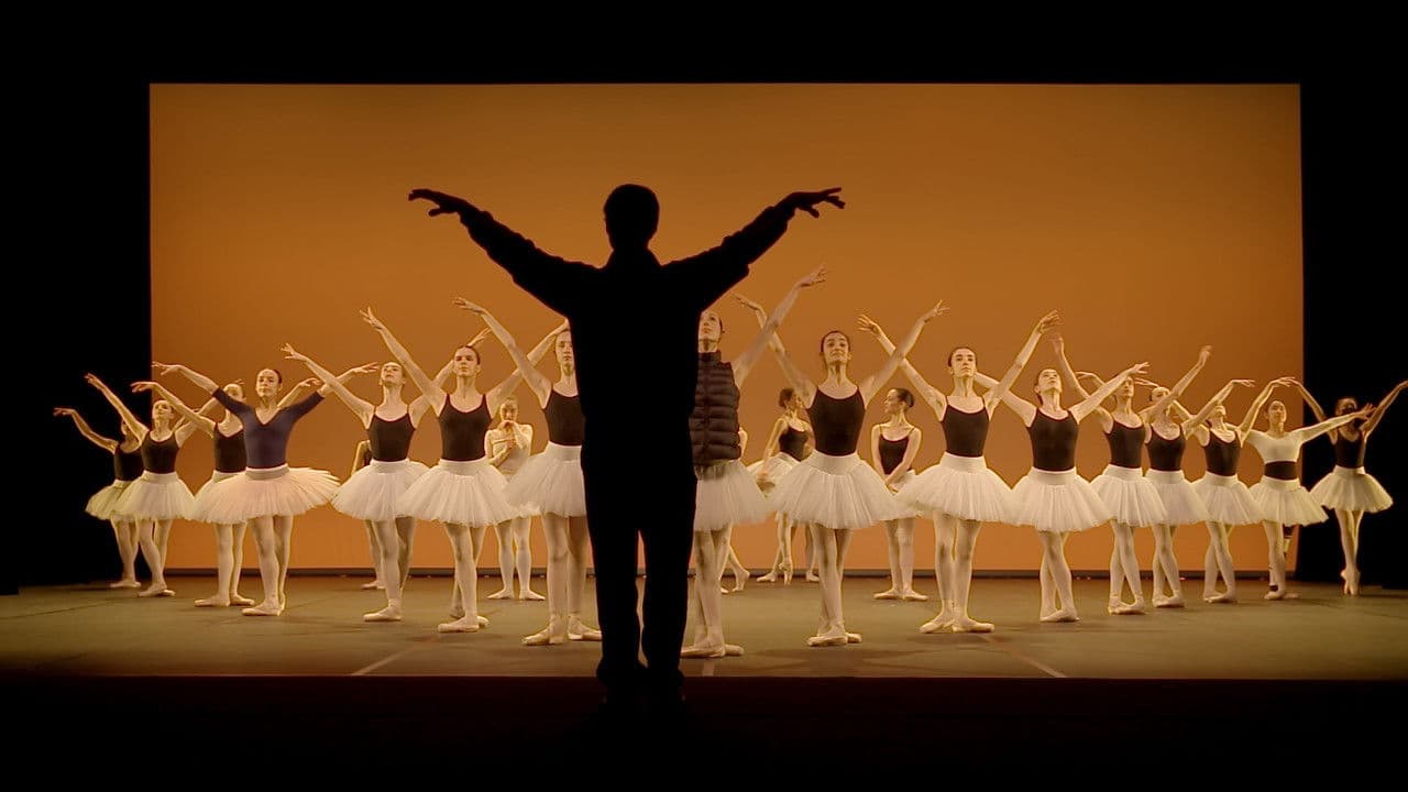 Seule la danse, une année au conservatoire de Paris