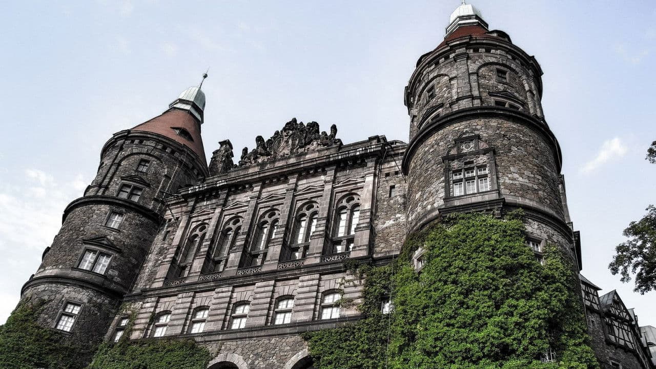 Daisy. Wspomnienie minionego świata