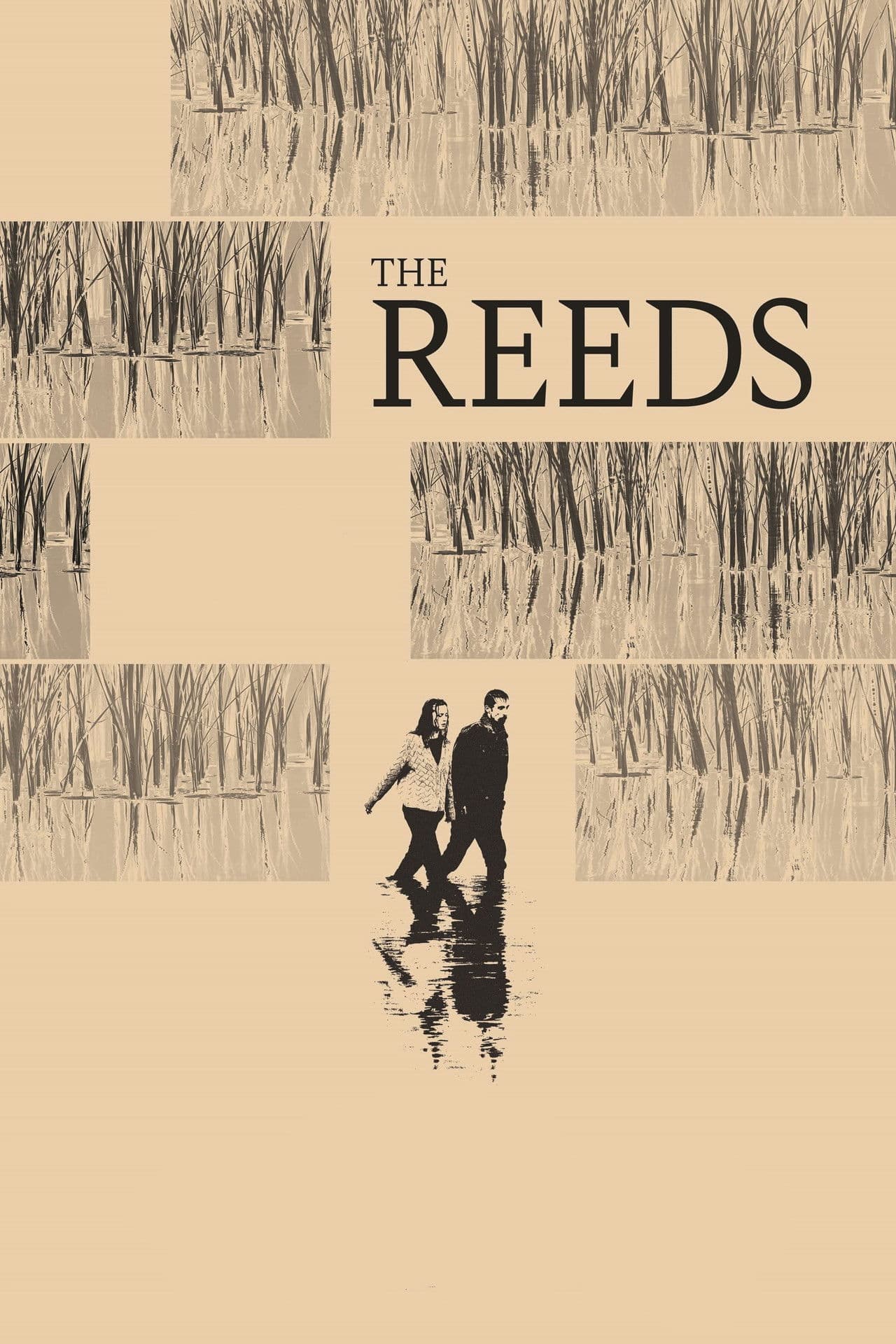 The Reeds