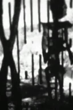 Feature Presentation