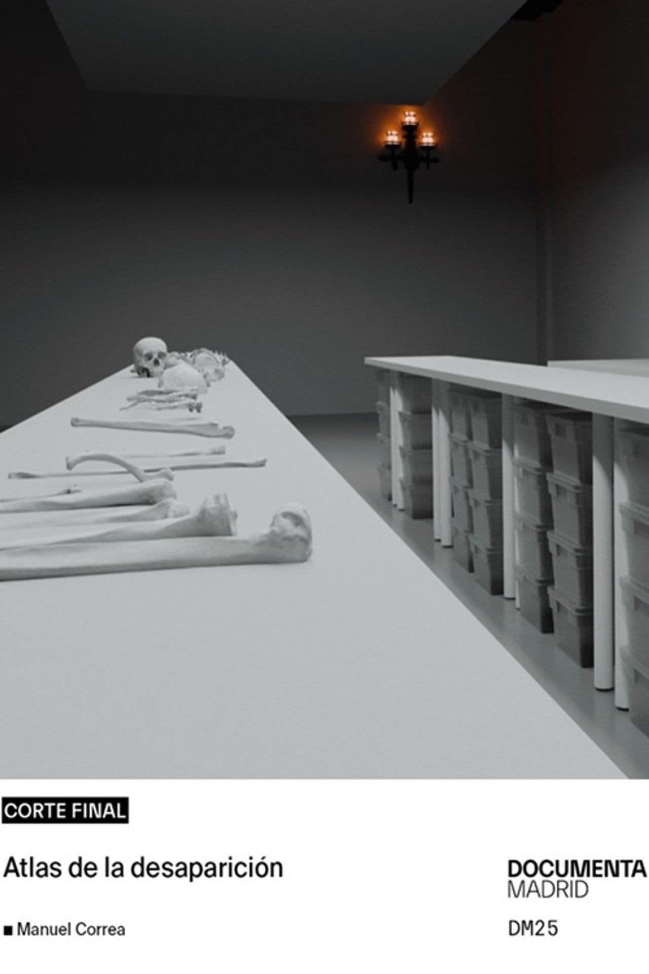 Atlas of Disappearance