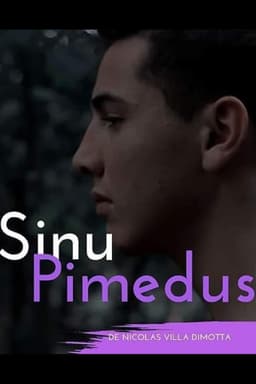 Sinu Pimedus