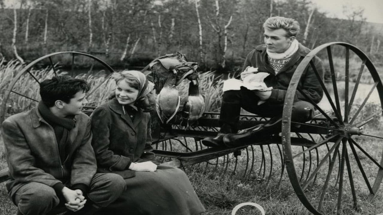 Jul i Skovridergaarden