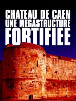 Château de Caen : Une mégastructure fortifiée