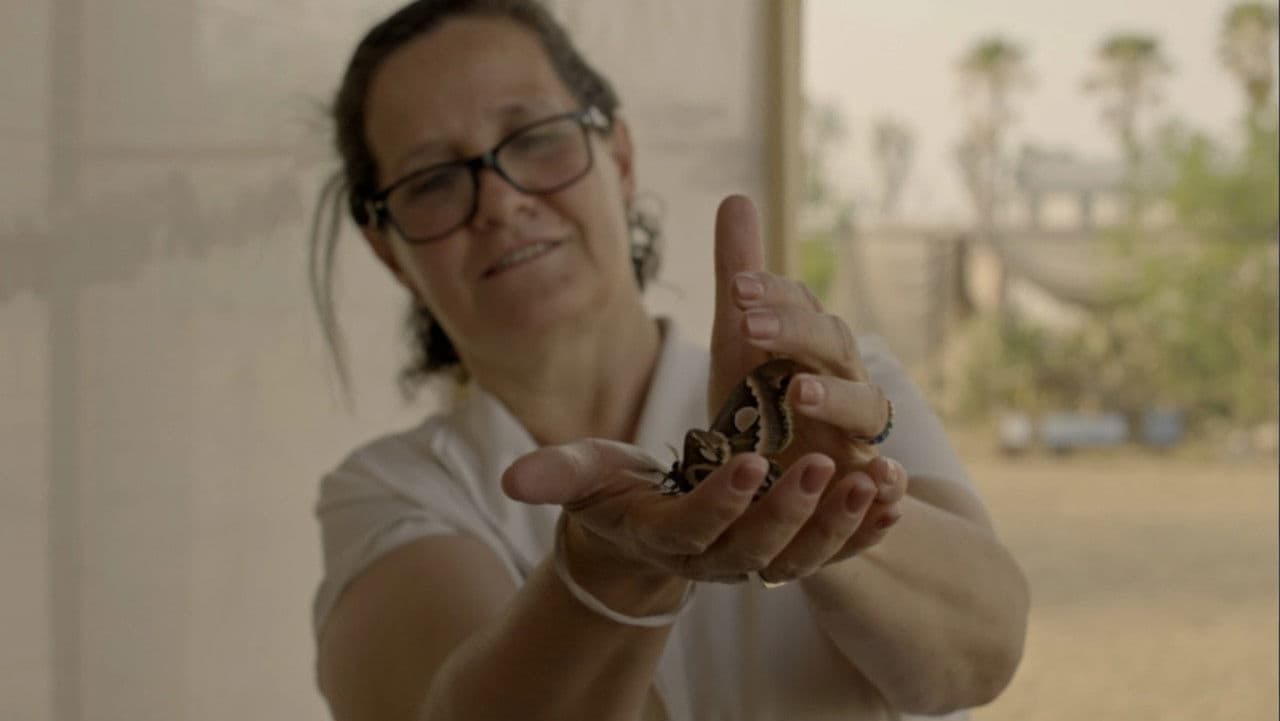 No abras los ojos y tendrás mi piel