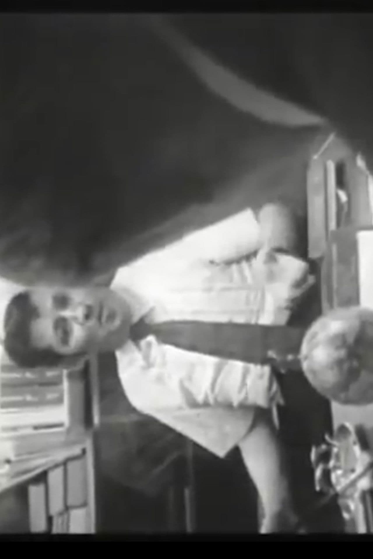 Who Shot Alexander Hamilton