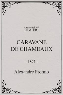 Caravane de chameaux