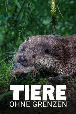 Tiere ohne Grenzen