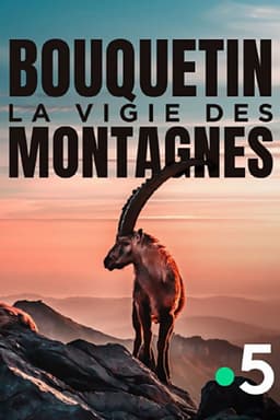 Bouquetin, la vigie des montagnes