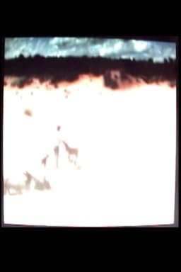 Trip to the Sand Dunes