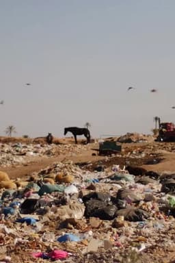 The Danger That Saves