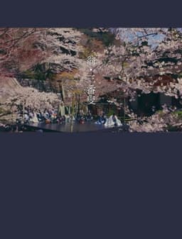 OKINA: Dance of Life