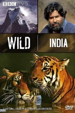 Wild India