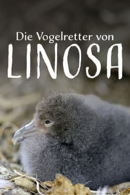 Die Vogelretter von Linosa