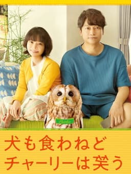 Everything Will Be Owlright!