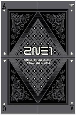 2NE1: 1st Live Concert NOLZA