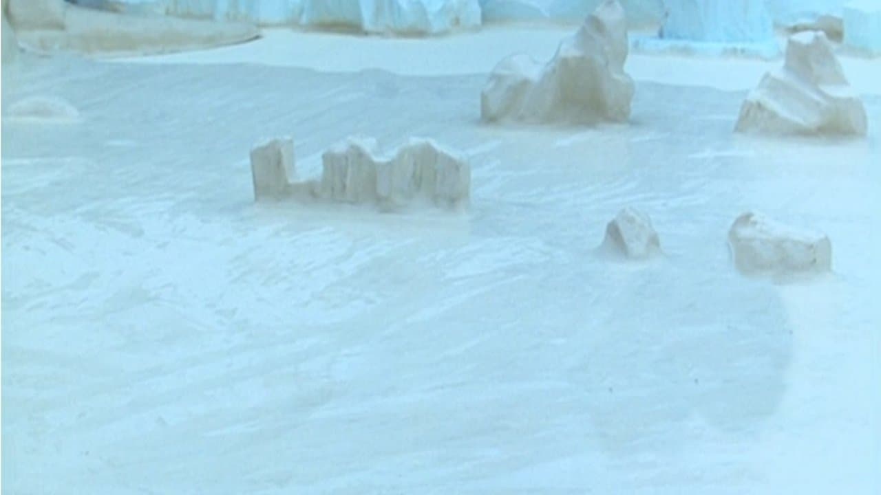 Pingu's Igloo Adventures