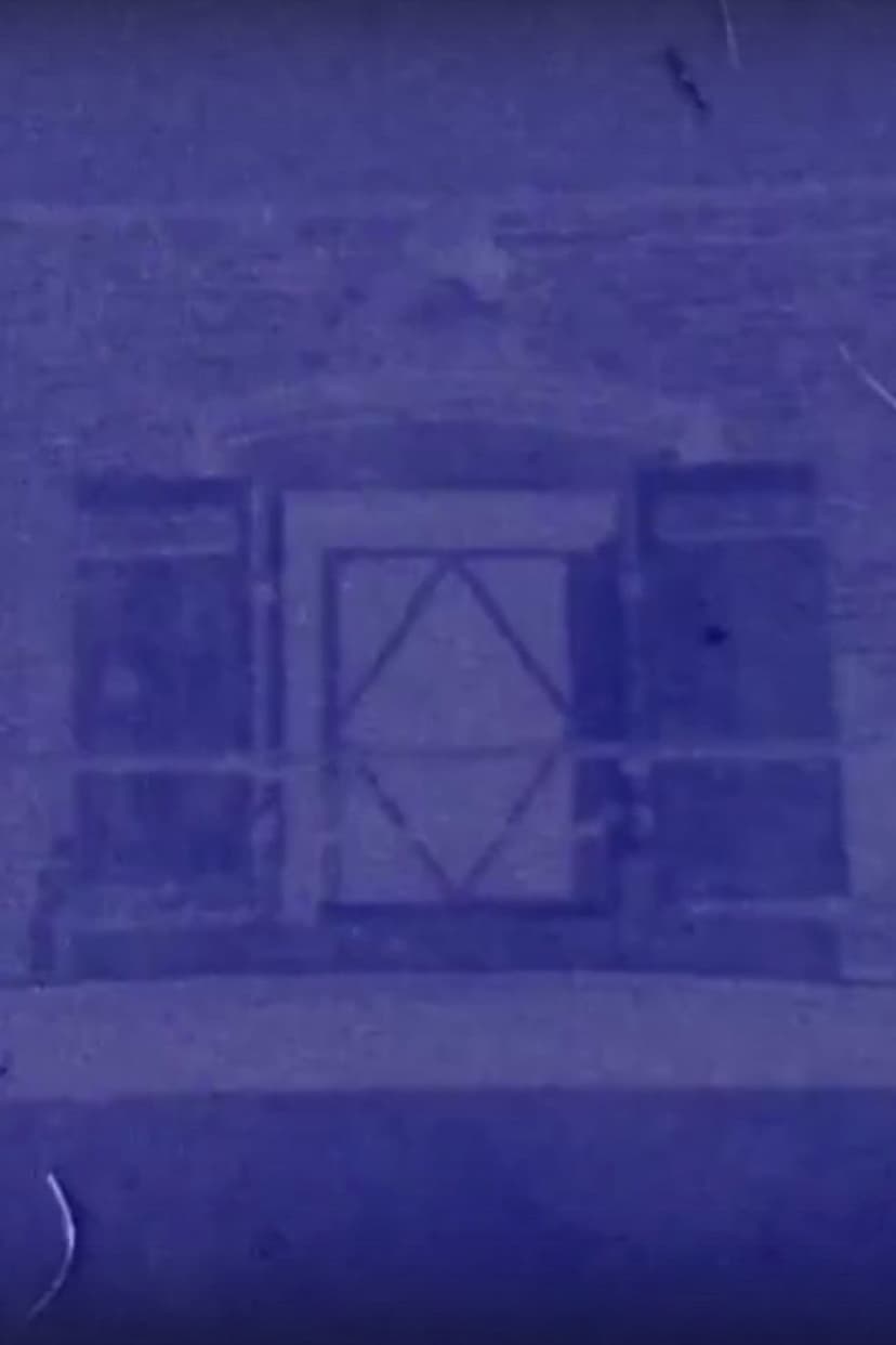 Diaphane, January 27, 2018, 8:08 a.m. / 12:34 p.m., Saint-Loup-de-Varennes, France