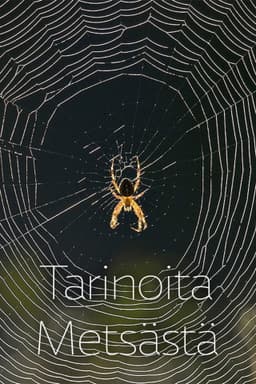 Stories from the Forest