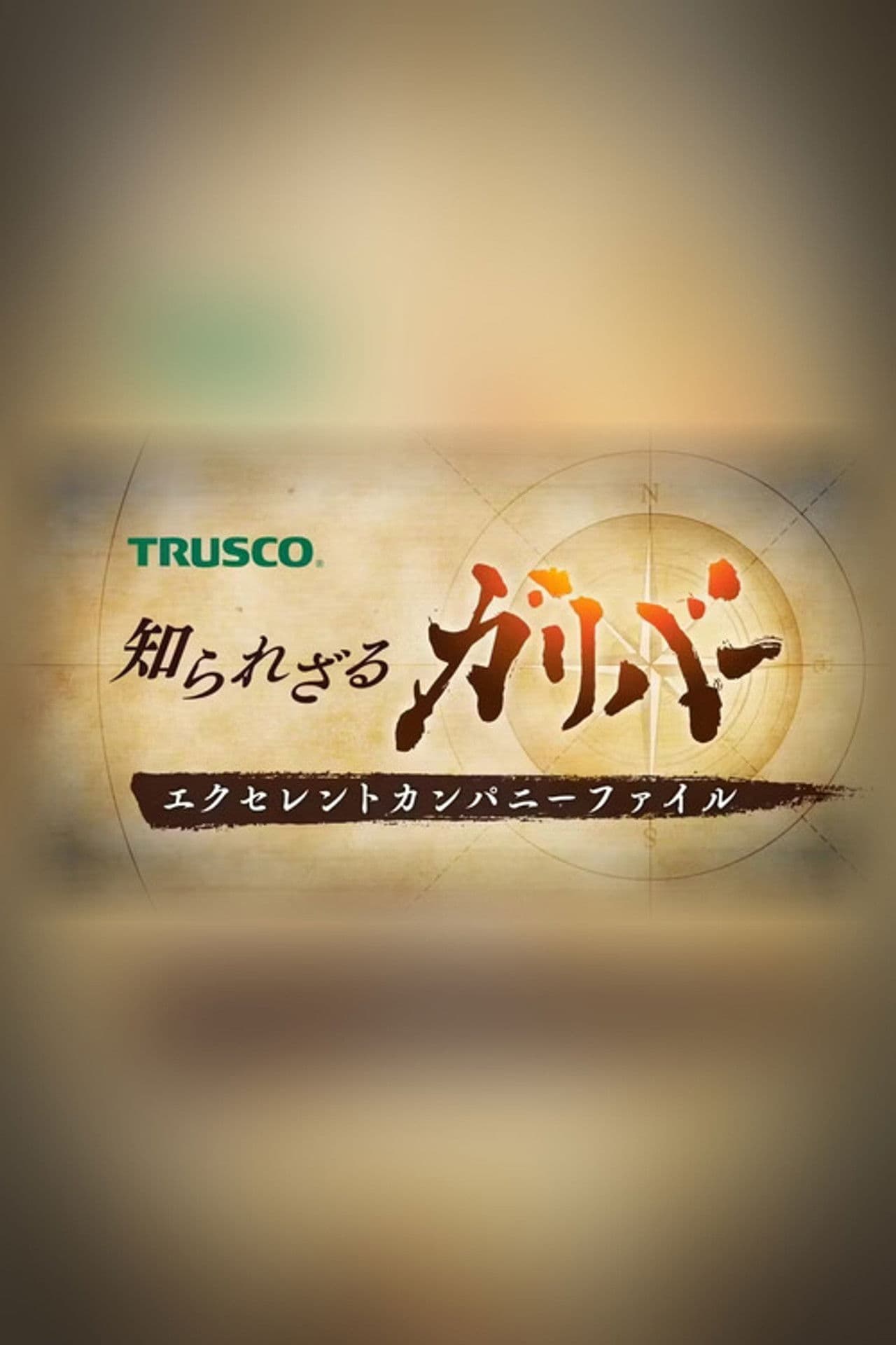 Hidden Gullivers: Profiles of Outstanding Companies