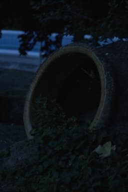 O espírito de Pucho Boedo