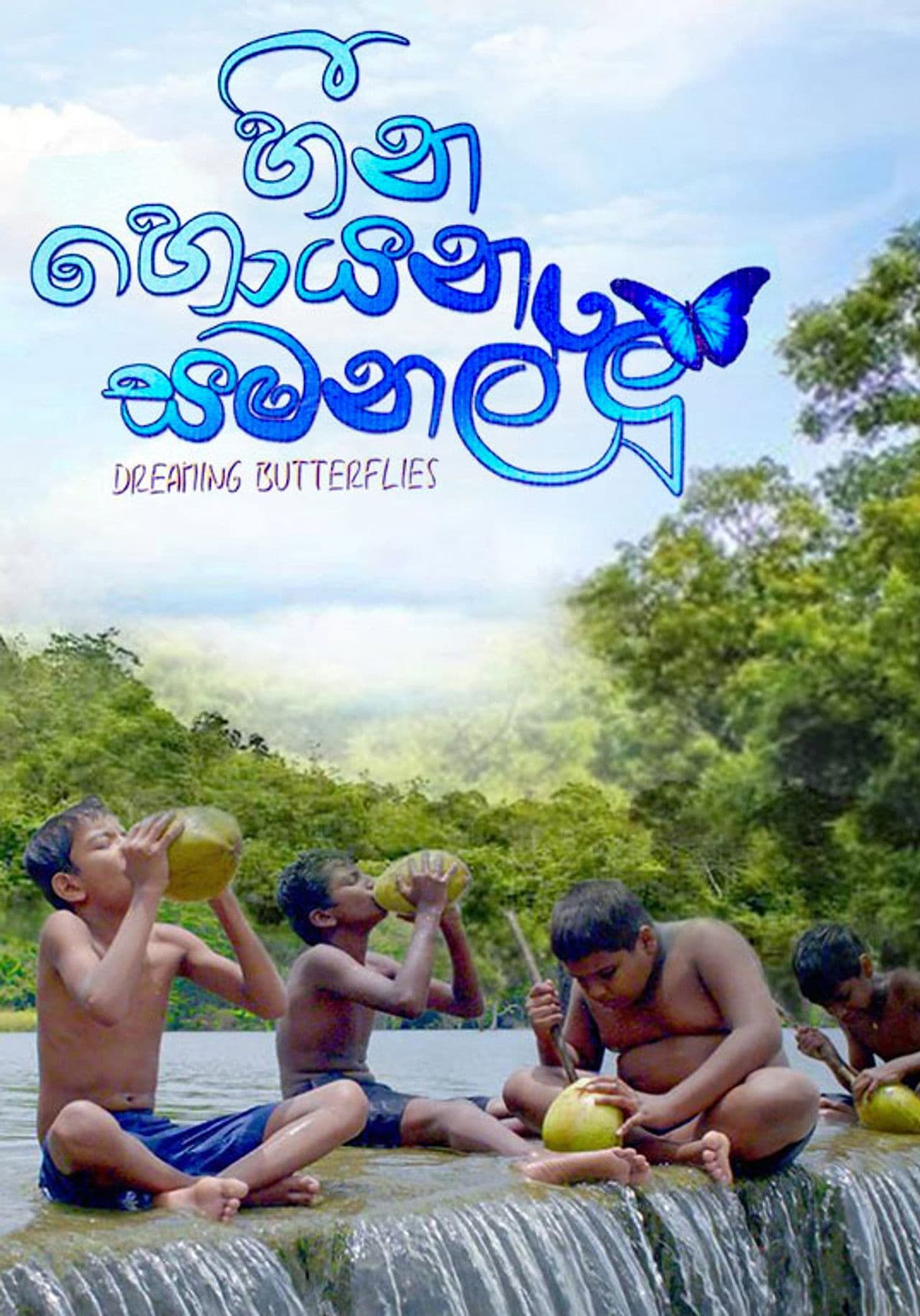 Dreaming Butterflies