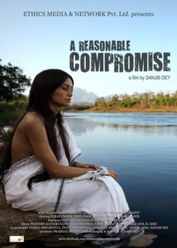 A Reasonable Compromise