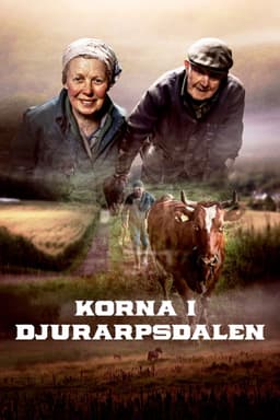 Korna i Djurarpsdalen